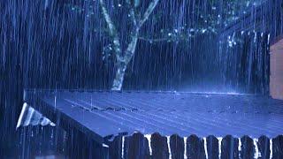 All You Need To Sleep Instantly - Heavy Rain,Impetuous Thunder Sounds on Creaky Tin Roof at Night #2