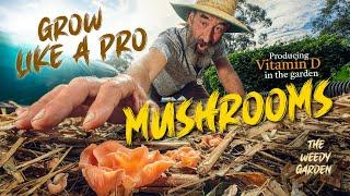 Mushroom Farming 2024 | GROW GOURMET MUSHROOMS: Inoculating the Garden Step by Step Guide