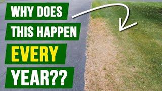 DEAD SPOTS in Same Spot Every Year - WHY and HOW to FIX THEM!