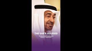 The UAE's Alleged 'Muslim Brotherhood Smear Campaign’