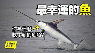 劍魚：從神聖美味到鮮為人知，為什麼你吃不到假劍魚？原來，這位持劍少年，竟然是唯一戰勝過人類的海鮮……|自說自話的總裁