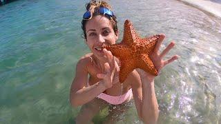 Finding STARFISH with my SISTER!!!