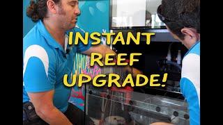 Instant Reef Upgrade!