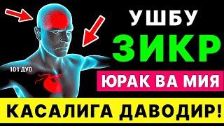 БУ КУДРАТЛИ ЗИКР МИЯ ВА ЮРАККА ДАВОДИР ТИНГЛАНГ | дуолар, зикр