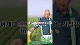 비료·이삭거름 살포, 이제 H525 드론 하나면 충분합니다.