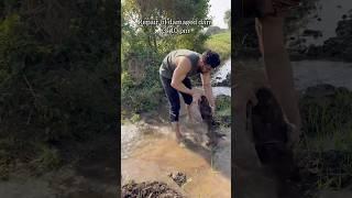 FARM WORK VLOG #village #farming #vlog #minivlog #fitness #motivation #bodybuilding #shorts #desi