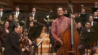 Eduard Tubin, Doublebass Concerto