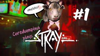 [ST#01] Coredumpina plays Stray - Kitten beginnings