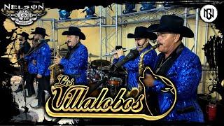 Los Villalobos • Popurrí de Cumbias • [En Vivo 2024]