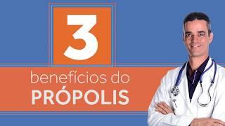 Própolis: Descubra 3 Benefícios | Dr. Rocha