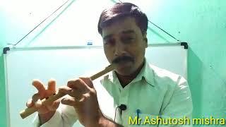 पायो जी मैंने रामरतन धन पायो... #flute #instrumental