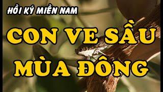 Hồi Ký Miền Nam | CON VE SẦU MÙA ĐÔNG (Trang Y Hạ)