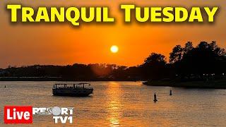 Live: Tranquil Tuesday - Riding Boats around the Resorts at Walt Disney World - Live Stream