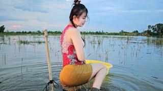 Bẫy dớn trúng bầy cá lớn khi dời qua vùng lau sậy | TNTP T303 - Big fish trap in reed area