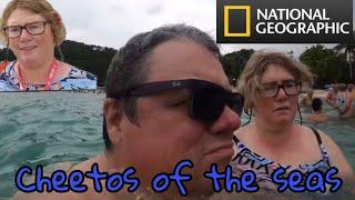 Cheetos Of The Seas