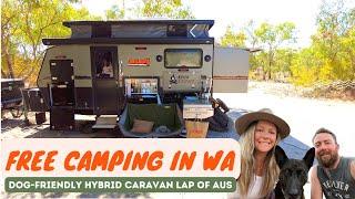 FREE-CAMPING WA ️ | Our favourite dog-friendly free camp in WA | Hybrid Caravan Lap of Aus