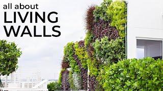 All About LIVING WALLS w/ Jonathan of Andromeda District • Doral, FL