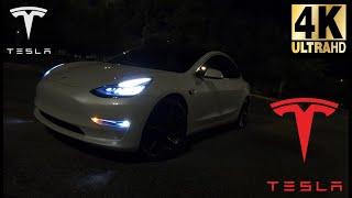 2020 Tesla Model 3 Performance | 4K 60FPS | POV | Night Test Drive