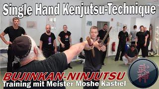 Single Hand Katana Technik - Bujinkan-Ninjutsu Kenjutsu mit Moshe Kastiel