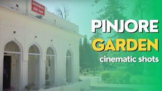 Pinjore Garden - Cinematic Shots  HD 1080p