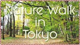 Nature Walk in Tokyo | Tamagawa Jyosui Ryokudo | #CraftyMagicDecember