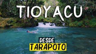 Tioyacu - COMO LLEGAR desde Tarapoto sin tours ️‍️️ (Nueva Cajamarca, Rioja) Turismo Peru