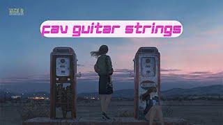 Favorite Guitar Strings | Acoustic | Music Boulevard