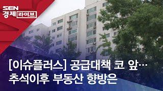 [이슈플러스] 공급대책 코 앞…추석이후 부동산 향방은