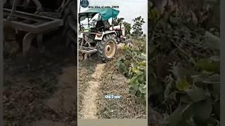#cg tractor  king 