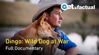 Dingo: Wild Dog at War - Full Documentary