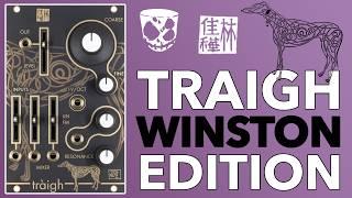 A Ladder Filter that adds SUB BASS! // 3 Patches with the 'Winston Edition' Traigh from Instruo