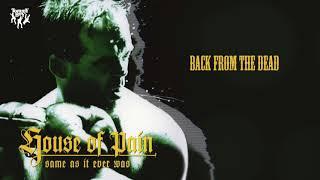 House Of Pain - Back From the Dead