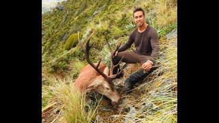 Hard Yards Stag - Red Deer, Chamois, Tahr & Roar Hunt