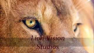 Lion Vision Studios