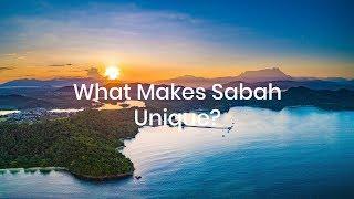 What makes Sabah a Unique Destination? | Sabah Travel