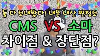 초등 사고력수학 학원! CMS? VS 소마? 직접 보낸 엄마가 찐으로 느낀 차이점