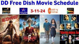 DD Free Dish Hindi Movie Schedule 3 November 2024 || DD Free Dish New Update 3 November 2024