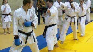 Karate Footwork, Focus Mitt Drills by Seiji Nishimura. Seminar in Moscow 2008 (Part 3/6),