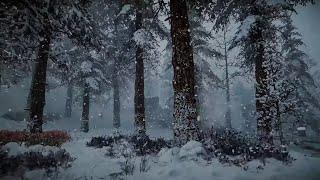 Incredible sounds to help relieve insomnia and stress | Ambience blizzard snowstorm forest