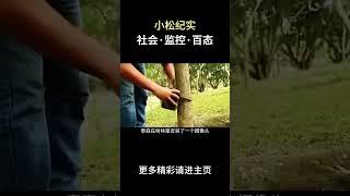 监控拍到了恐怖的一幕 #奇闻异事