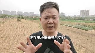 中國見聞 城市打工工價低消費高 | 救房市最後1招 割農民韭菜 | 農村生活也越來越難 | Reaction Video