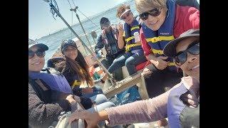 SailingAlameda.org Sun Sep 1st 2019 Sailing the slot with our first teenage sailor