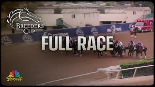 Breeders' Cup 2024: Sprint (Full Race) | NBC Sports