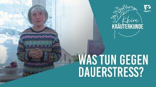 DAUERSTRESS: Das kannst du dagegen tun! | Mini Kräuterkunde mit Ruth Pfennighaus