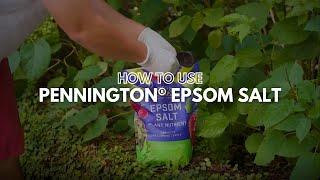 How to Use Pennington Epsom Salt