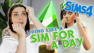 I Lived Like a Sim For 24 Hours 