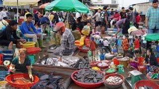 Early Morning Fish Market Scene in Cambodia - Plenty Alive Fish, Rural Fish, Dry Fish & More Seafood