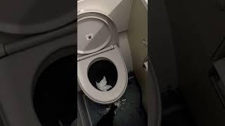 Washrooms in aeroplane | how to use flush toilet in aeroplane #aeroplane #airlines #shorts #short