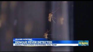 Second case of dengue fever on Oahu this year