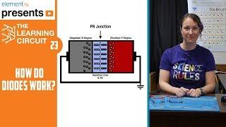 How Diodes Work - The Learning Circuit